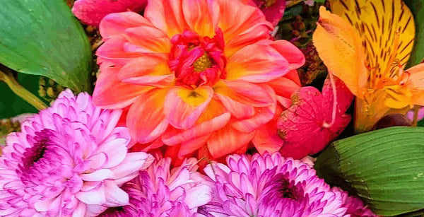 Ash Point Flower Farm